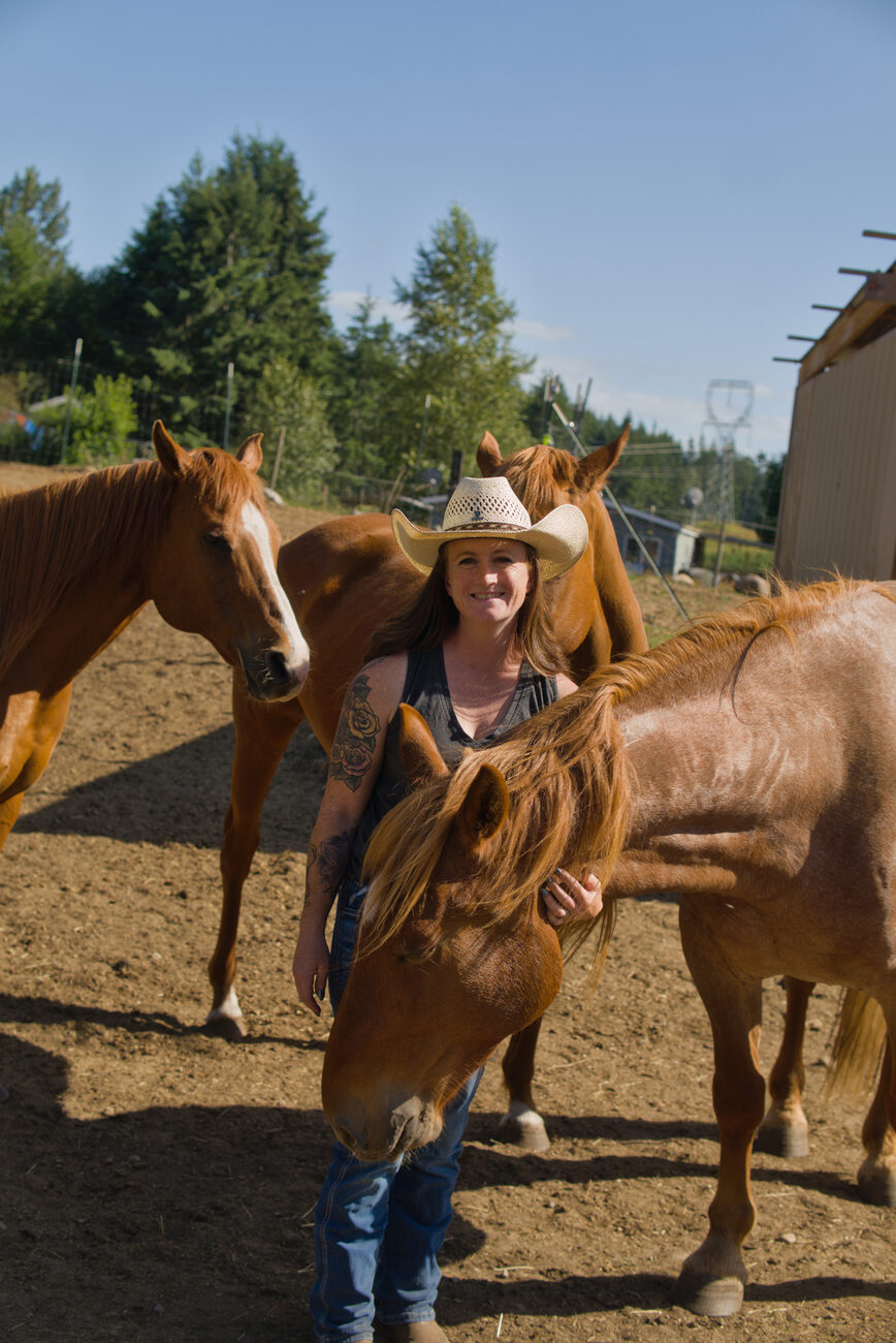 Founder standing among three chestnut horses