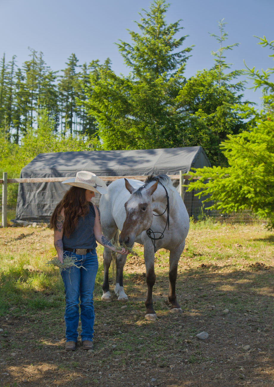 Founder hand-feeding a grey horse in the pasture